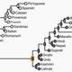 Image for article titled A massive data dive proves that languages and genes evolve together